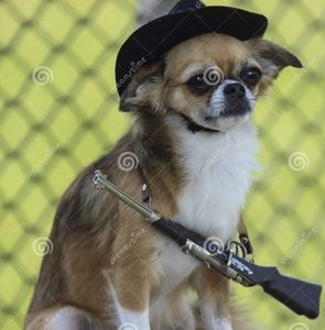 Meet your Posher, Jesse